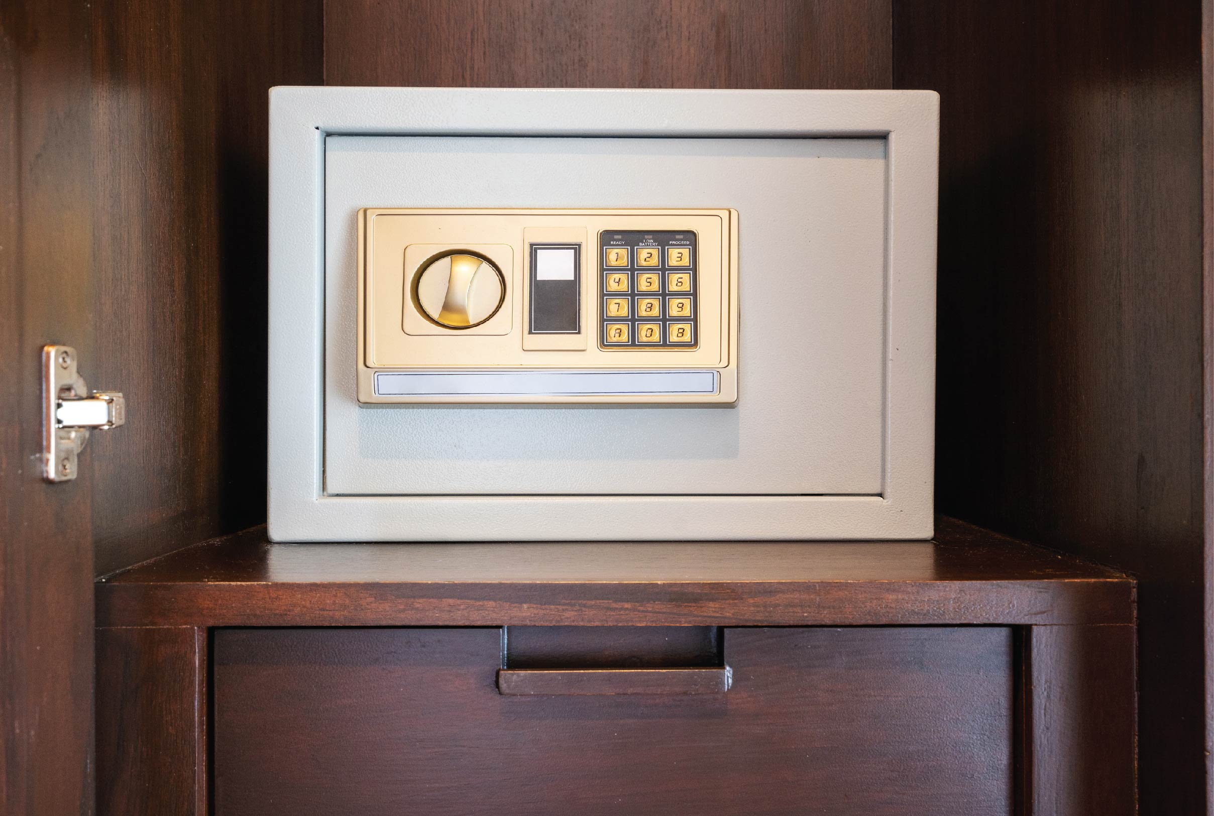 SELECTING THE RIGHT SAFETY LOCKER FOR YOUR HOME